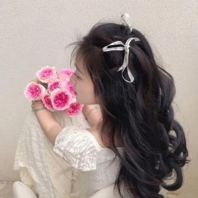 大山里的春天 封面